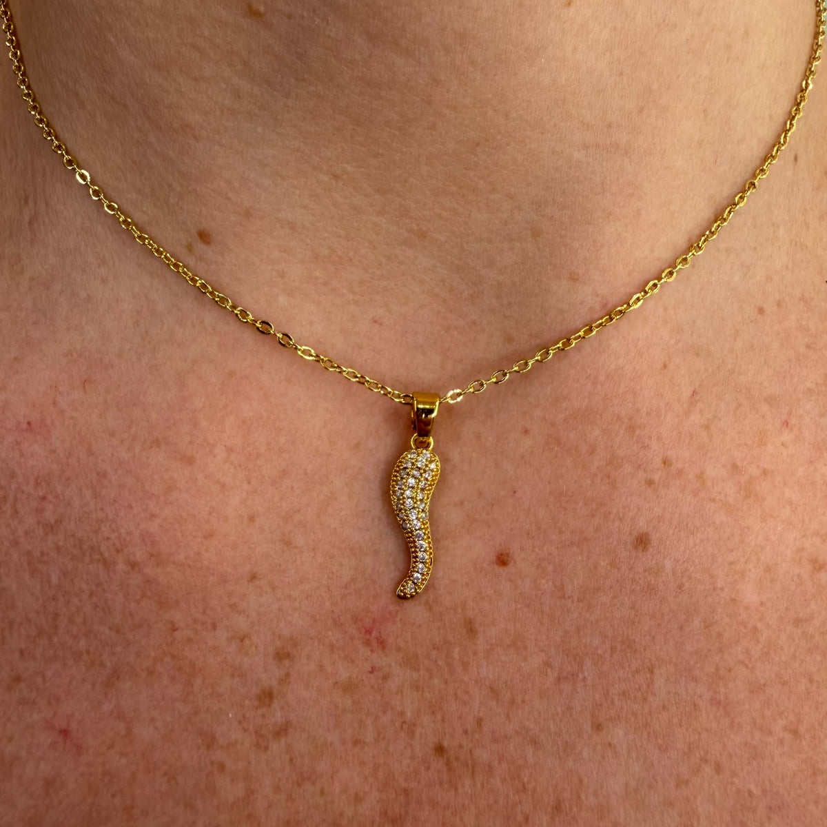 Collana Cornetto - Acciaio - Silver/Gold